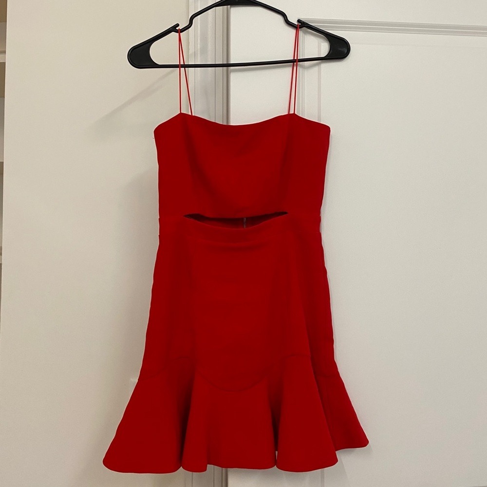 Whitefox Boutique mini dress
